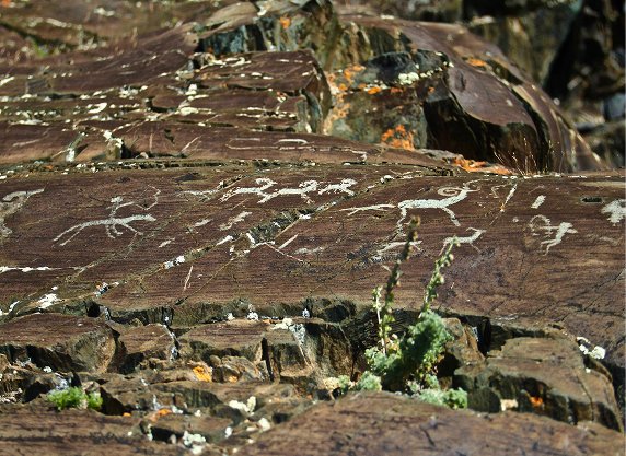 Bahaya Rayap Bagi Properti Anda