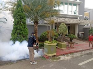 WhatsApp Image 2026-02-16 at 13.10.00