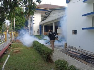 WhatsApp Image 2026-02-16 at 13.10.01